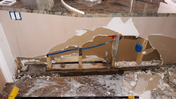 Best Water damage contractors near me  in Chatfield, MN