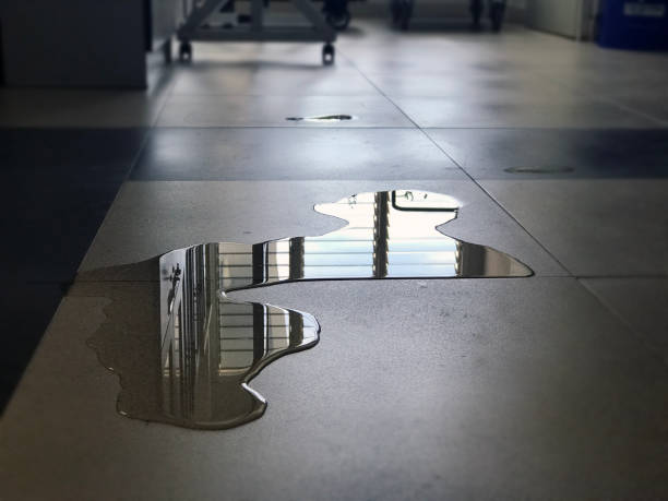 Chatfield, MN Water damage restoration Company