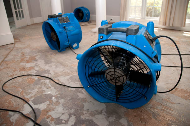 Best Local water damage restoration  in Chatfield, MN