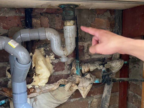 Best Water damage contractors near me  in Chatfield, MN