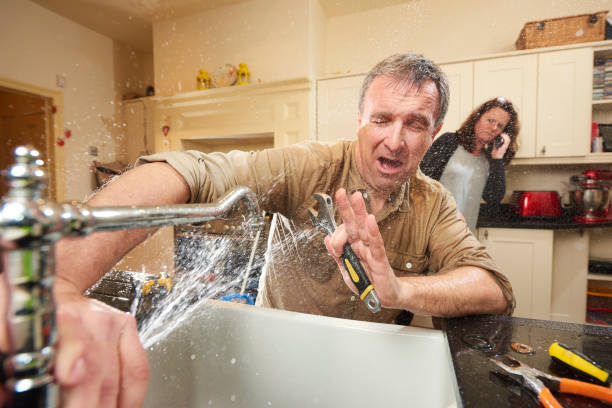 Best Water damage restoration near me  in Chatfield, MN